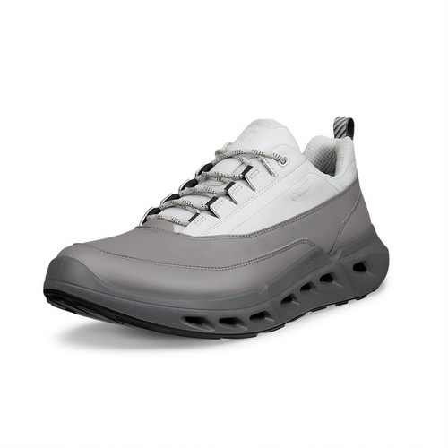Ecco biom 720 - biom,